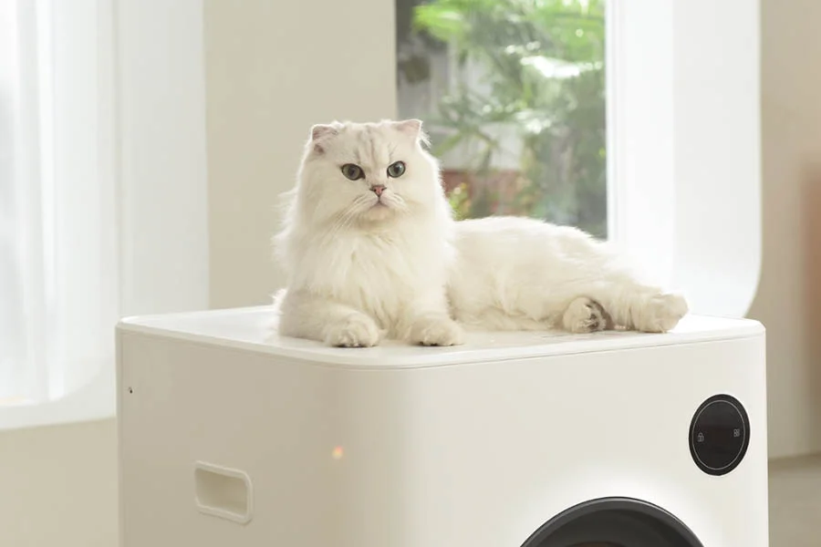 litter box for two cats